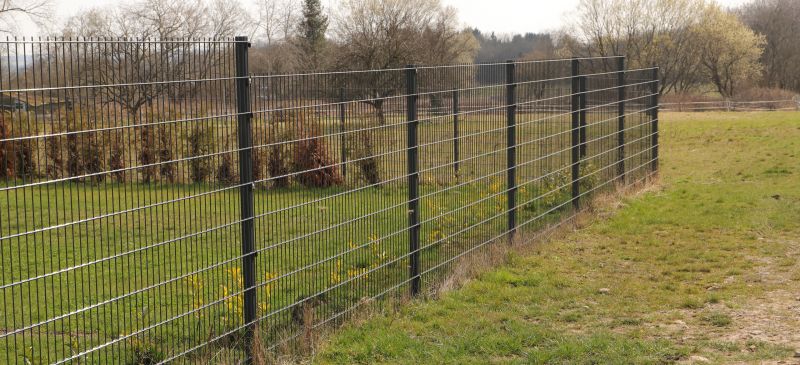 Fence detail